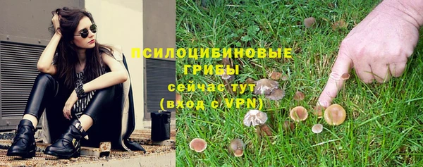 экстази Гусев