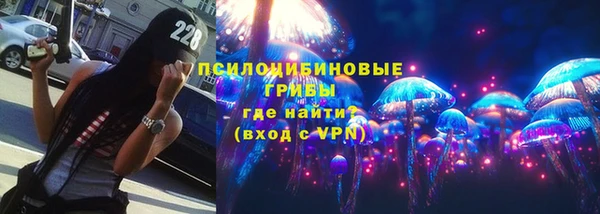 экстази Гусев